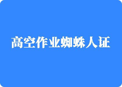 www.浪逼com高空作业蜘蛛人证